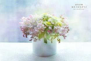 花影流光 花艺产品摄影的艺术与匠心